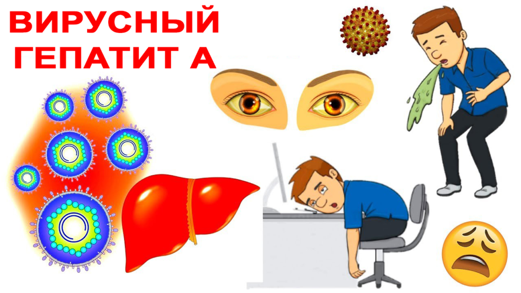 Памятка по профилактике вирусного гепатита «А».